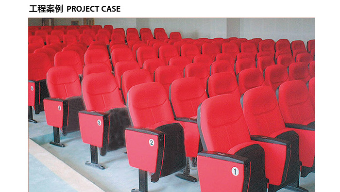 礼堂座椅,会议室礼堂排掎效果图